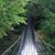 Karen T. Goss's profile image