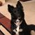 Donna Mustage Malter's profile image
