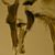 Kate Copplestone's profile image