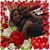 Patricia Z. Rodriguez's profile image