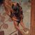 Susan Lynch Vollmer's profile image
