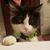 Michelle Mangus's profile image