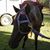 Jenny Drumm's profile image