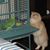 Cindy Tyran's profile image