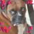 Deborah Paulsen's profile image