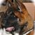 Valerie Jo Briggs's profile image