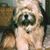 Joanne Kerkhoff Schunder's profile image