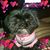 Tammi Cook-Stidham's profile image