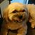 Shirley Jo Bradly Dutton's profile image