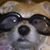 Jonathan Blank's profile image
