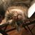 Judy Toner's profile image