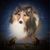 Linda Slocum Polston's profile image