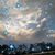 Michelle Wischer's profile image