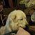 Linda Anderson's profile image