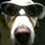 Chad Gillespie's profile image