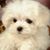 Bea Pomeraniec's profile image