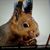 Kevin Neff's profile image