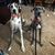 Jennifer Salyards Borbonus's profile image