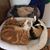 Colleen Carroll Crossan's profile image