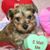 Kim Richmond's profile image