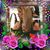 Marlene Marziotto's profile image