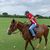 Marcola Junqueira Sant'Anna's profile image