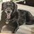 Ellen Dickey's profile image