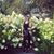 Rachel Morris's profile image