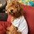 Lynda Post Falls's profile image