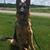 Donna Wilson's profile image