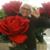 Janice Sickinger-Skedsmo's profile image