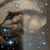 Denise Hazelwood's profile image