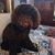 Milaine Dewey's profile image