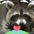 Michael Fredde's profile image