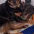 Judy Steinhoff's profile image