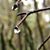Madrone Morehead's profile image