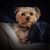 Dawn M Van Camp's profile image