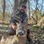 Danny Roush's profile image