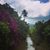 Chadita Dimanche's profile image
