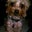 Ivonne Davis's profile image
