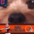 Linda Cudlin Seabold's profile image
