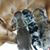 Sherri Lueders Campbell's profile image