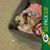 Betty Ullery-Pape's profile image
