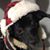 Lindsay Nates's profile image