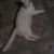Berryman Tollie Nora's profile image