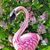 Mary Ellen Baraszu's profile image