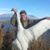 Yancey Pitcher's profile image