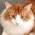 Jim Rosene's profile image