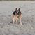 Tara N Tom Williamson's profile image