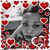 Nancy Wilson-Burton's profile image